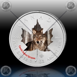 1oz KANADA $5 Maple Leaf 2014 "VOLK" BARVNI